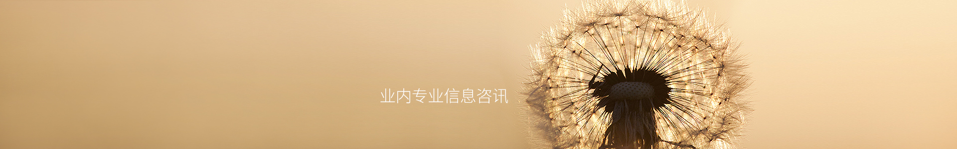 拓鋒新聞